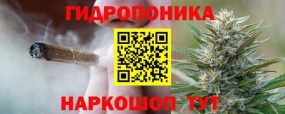 Альфа ПВП Чебоксары