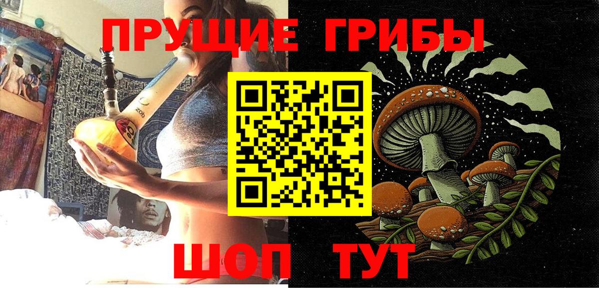 Галлюциногенные грибы Psilocybine cubensis Великие Луки