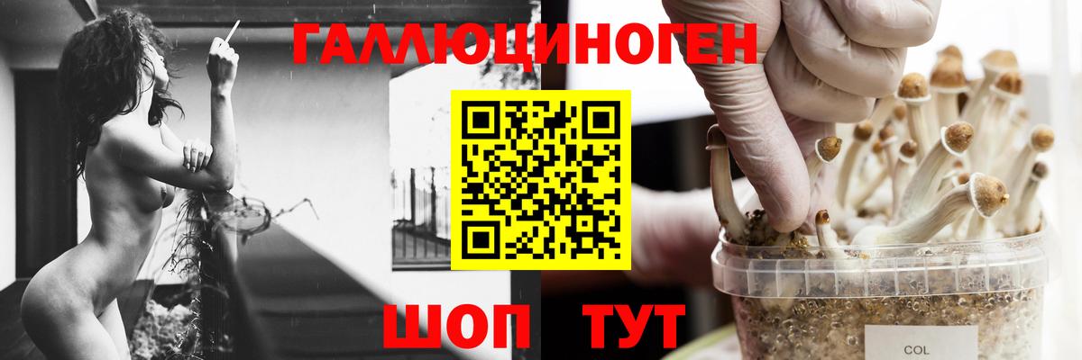 Галлюциногенные грибы Cubensis  Галлюциногенные грибы мицелий  Великие Луки  Вход с VPN 